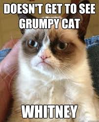 doesnt get to see grumpy cat whitney - Grumpy Cat - 3r2ik0