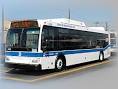 Buses