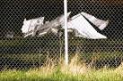 Planes carrying skydivers collide over Wisconsin — pilots ...