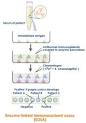 Diagnostic Kits Enzyme Linked Immunosorbent Assay | Tutorvista.