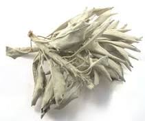 White Sage