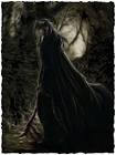 Dark Elves