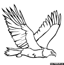 Eagle coloring page
