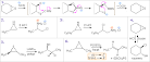Heterocyclic Chemistry