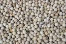 White pepper 630 products,Singapore White pepper 630 supplier