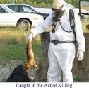 Ingrid Newkirk - PETA's Shame