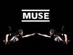 Muse Image Muse Wallpaper Picture 5