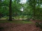 Harlow Carr - deciduous - via Daymix