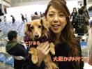 大原かおり 画像