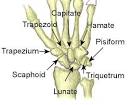 rob newton | Sports Injury Clinic