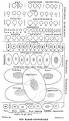 Red blood cell - Wikipedia, the free encyclopedia
