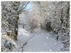ANNULATION - NEIGE - CLUB DE BMX DE RIORGES