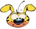 MARSUPILAMI