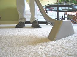  Keep Your Carpets Tidy