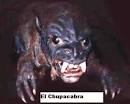 El Chupacabra Pup Strikes Again