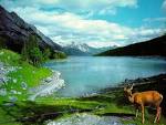 <b>Natur</b> Pics New Wallpaper