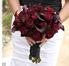 So what flowers did you choose for your bouquet - post pictures too :  wedding Images?q=tbn:ANd9GcREPdxMi3BEIRxqgIDTPzn2TvbHR1lGoWT8bgyrKg2EwdqnVR8CGw