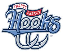  Welcome To Minor League Baseball Data.Com