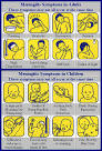 <b>Meningitis</b>
