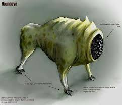 http://t1.gstatic.com/images?q=tbn:ANd9GcRElseRLnh_mvgo5eHq7GCGaacjVkyBYZx1u8cgaHo1sMPAOSBRYQ