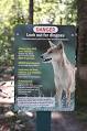 Dingo attacks in Australia - Wikipedia, the free encyclopedia