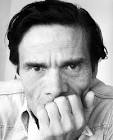 Caro Pino la rana, come puoi pensare che le tue dichiarazioni possano essere ... - pier-paolo-pasolini