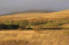 grass on acid boglands. Beyond is Cairnsmore of Fleet with the house of - via Daymix