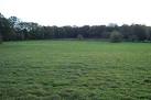 Grassland and Woodland - via Daymix