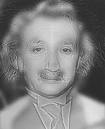 Einstein and Monroe is now