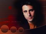 http://www.picsimages.net/photo/andy-garcia/andy-garcia_1310974639.jpg