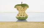 Matt Johnson - Malus Sieversii - Contemporary Art