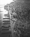 Removing Freeways - Restoring Cities