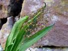 See other images of Spider - via Daymix