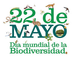Por un mundo donde se preserve la vida