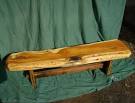 Small Yew Bench