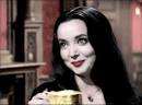 Addams Family Morticia Addams