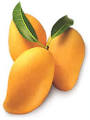 Lao Folktales : The Mango Tree