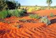 Great Victoria Desert