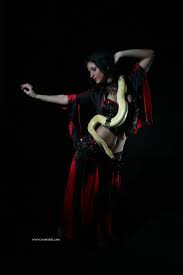http://t1.gstatic.com/images?q=tbn:ANd9GcRGG4H57t77w2pOQ5imoqibwwn-RCAHx1tBF0wxT5NGrzORzY4P