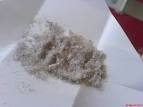 Drug Use - Blank Title