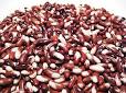 Bean - Wikipedia, the free encyclopedia