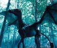 Care of Magical Creatures - Harry Potter Wiki