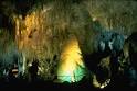 TLC Family "Sightseeing at Carlsbad Caverns National Park"