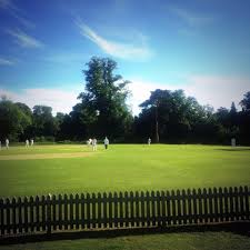 Image result for Chipstead Coulsdon & Walcountains Cricket Club