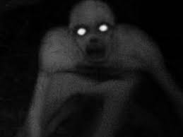 images?q=tbn:ANd9GcRGwriT2RQAHwGeKOd4vaVcyfq_daYwYxtthya-lCwBvI9dRPTT