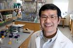 Caption: Ben Shen, professor of chemistry and pharmaceutical sciences in the ... - Shen_Ben_lab08_8639