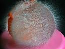 water balloon