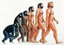 John Shea, Human Evolution, and Behavioral Variability Not ... 