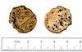 Webb &amp; Sons seed and manure - via Daymix