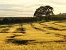 byway between Oklahoma and - via Daymix